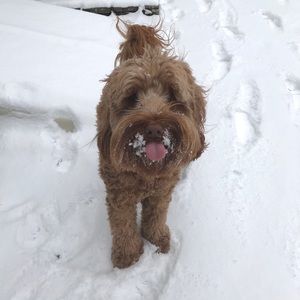 Meet your Posher, Jaclyn